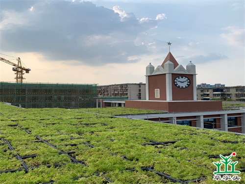 雨花区实验小学